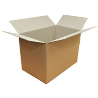 B/S P11 Carton 572x365x400mm 4C