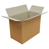 B/S 54 Carton 420x240x320mm 4C