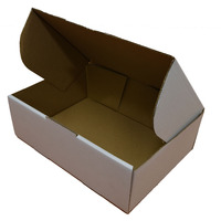 310x225x102mm White Die-Cut Box