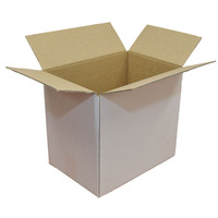 305x215x275mm White RSC Box