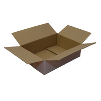 320x220x100mm White RSC Box