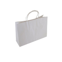 WHITE Paper Loop Handle SMALL BTQ - 250x350x110mm